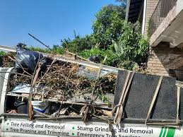 Best Shed Removal  in Tokeneke, CT
